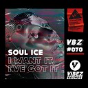Soul Ice - I Want It I ve Got It