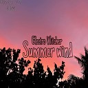 Electro Witcher - summer wind