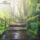 Jssst - The Jungle of Life