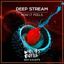 Deep Stream - How It Feels Radio Edit