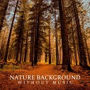 Relaxing Nature Sounds Collection - Relaxing Waterfall