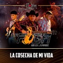 La Fuga De Cd Juarez - La Cosecha De Mi Vida