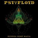 Psy Floyd - Magic Mushroom Trip