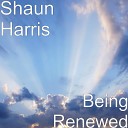 Shaun Harris - Being Renewed