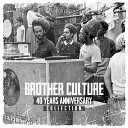 Brother Culture - Hip Hop Or It Could Be Reggae