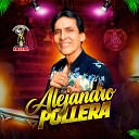 Alejandro Pollera - Lagrimas de Amor En Vivo