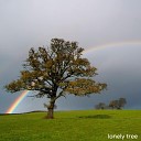 Darren Burch - Lonely Tree