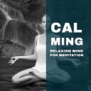 Oriental Meditation Music Academy - Calming Moment for Meditation Japanese Style