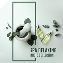 Relieving Stress Music Collection - Peaceful Night with New Age Sounds