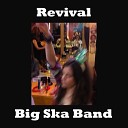The Big Ska Band - N Y C
