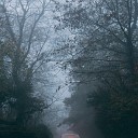 Naturaleza Sonidos Meditaci n Lluvia… - Rayos de Luz