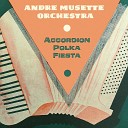 Andre Musette Orchestra - Come and Get it