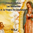 Julio Miguel Grupo Nueva Vida - Cantando las Ma anitas a la Virgen de Guadalupe En…