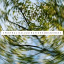 Spectral Hallucinations - Rejection