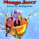 Mungo Jerry - A Blues For The San Francisco Bay