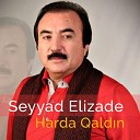 Seyyad Alizade - Harda qaldin