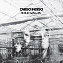 Cargo Indigo - Intranquille