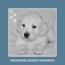 Puppy Relaxation - Hopeful Understanding Song