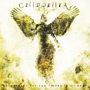 Celldweller - Birthright Beta 1 0