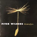 Piter Wilkens - De Friese Troedeboer
