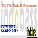 DJ Tik Tok Mamae - Suweng Radio Mix