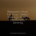 Music for Pets Library Pet Care Club Music for Dogs… - Calm Down