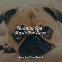 Relaxation Music For Dogs Music for Pets Library Calming Music for… - Anxiety Removal