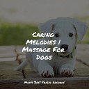 Sleepy Dogs Relaxmydog Music for Pets Library - Hypnotic Relief