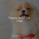 Music for Pets Library Music For Dogs Peace Pet Care Music… - Sleep Music