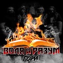 Воля и Разум - Гори