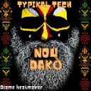 Diame Heatmaker - Nou Dako Radio Edit