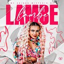 MC ERIKAH Love Funk Mist rio Dj - Lambe Lambe