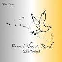 Yan Loec - FREE LIKE A BIRD Live Version
