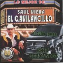 Saul Viera El Gavilancillo - Mariquita Se Llamaba