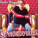 Paulo Hippe - Tempo de Amar