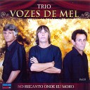 Trio Vozes de Mel - Uma Noite Com Algu m