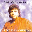 Evaldo Freire - Foi Ela