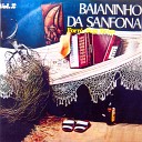 Baianinho Da Sanfona - Baga o Grosso