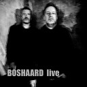 BOSHAARD - Wayfarer Live
