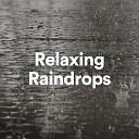 Relaxing Rain Sounds - 20 Rain Sounds Pt 10