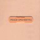 Peace Orchestra - Marakesh