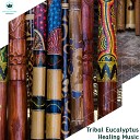 Justin Wonder Didgeridoo Project - Essence Of Eucalyptus Ethnic Percussion…