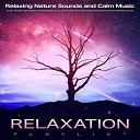 Relaxing Music For Stress Relief Calm Music Guru Relaxing Music… - Calm Music for Study