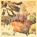 Vila D Sun - Secrets Undersea