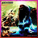 рори шахов - Растение