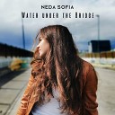 Neda Sofia - Water Under the Bridge