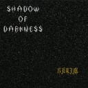 Shadow of Darkness - Pain of the Past