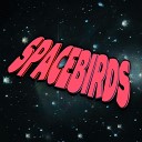 Spacebirds - Solar Storm B Remix