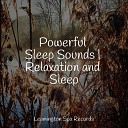 Spa Music Relaxation White Noise Baby Sleep Meditation… - Sleepy Head