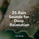 Natureza Musica Bem Estar Academia Nature Soundscape Childrens… - Rain Collection